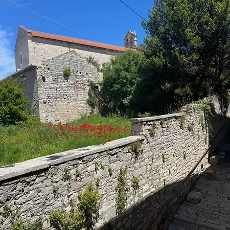 Lila Modern In Old Town Pula
